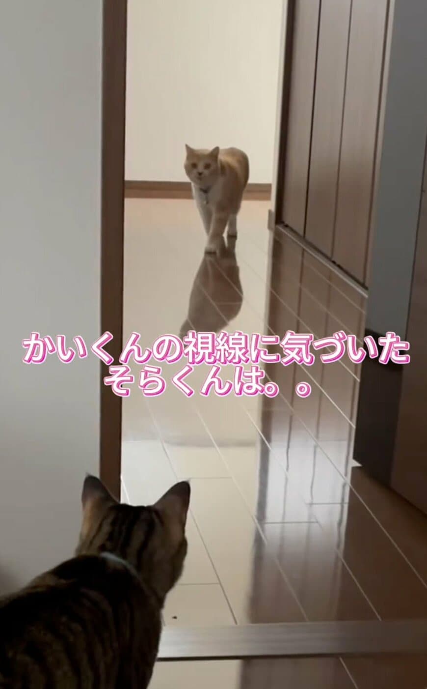 出所：@sorakai0905