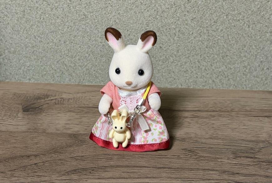 筆者撮影（セリア、ぬい用ポシェット ぬい活 うさぎ＆ポップコーン柄）