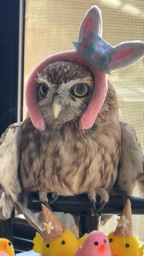 出所：@cr8673.hiro