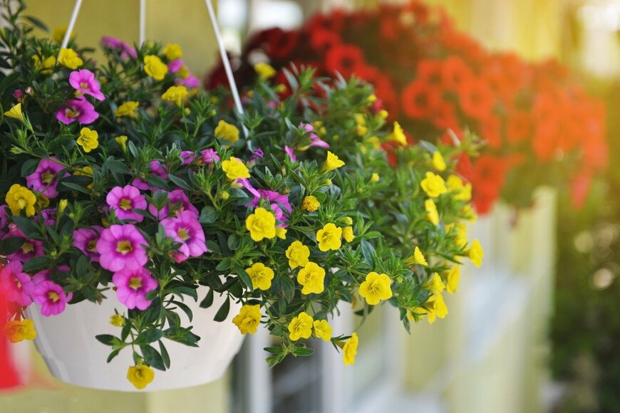 Lakshmi3/istockphoto.com