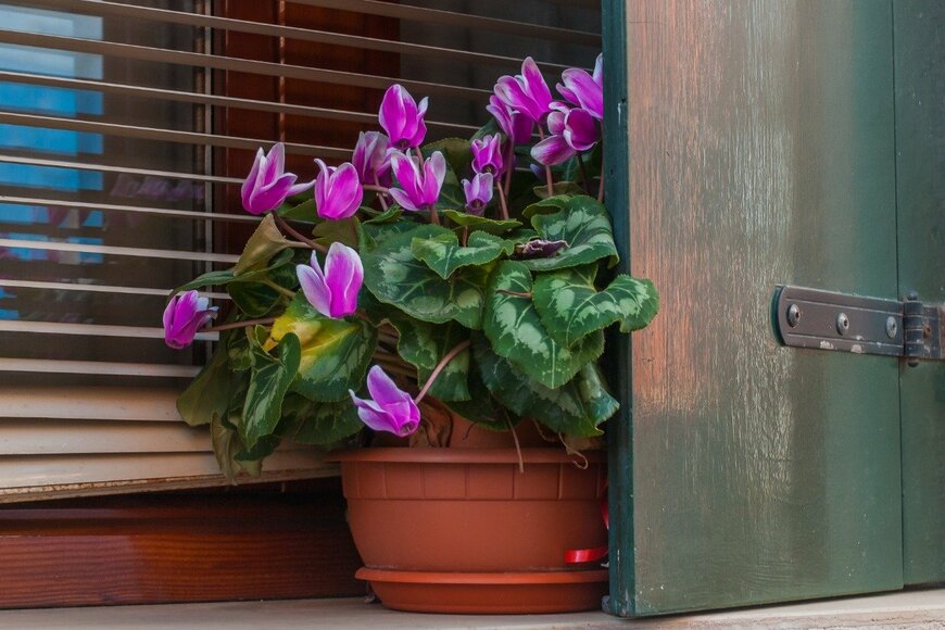 TatianaButovchenko/istockphoto.com