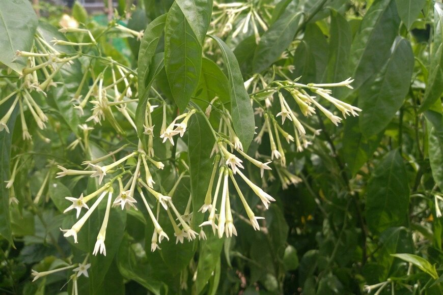 Md Kamruzzaman Masud/istockphoto.com