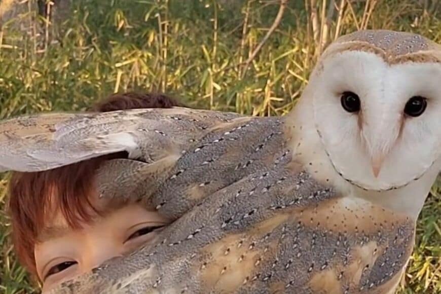 飼い主と一緒に散歩する「かわいいフクロウ」の特等席　前が見えないラブラブ状態が「うらやましい」