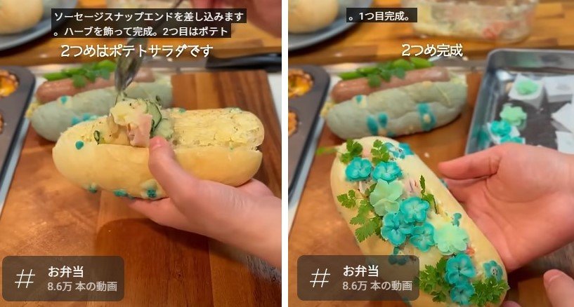 投稿動画のワンシーン