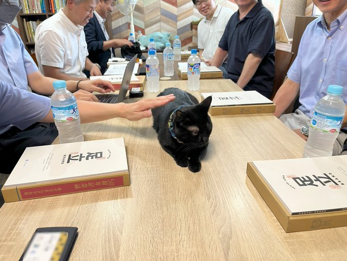 投稿の画像