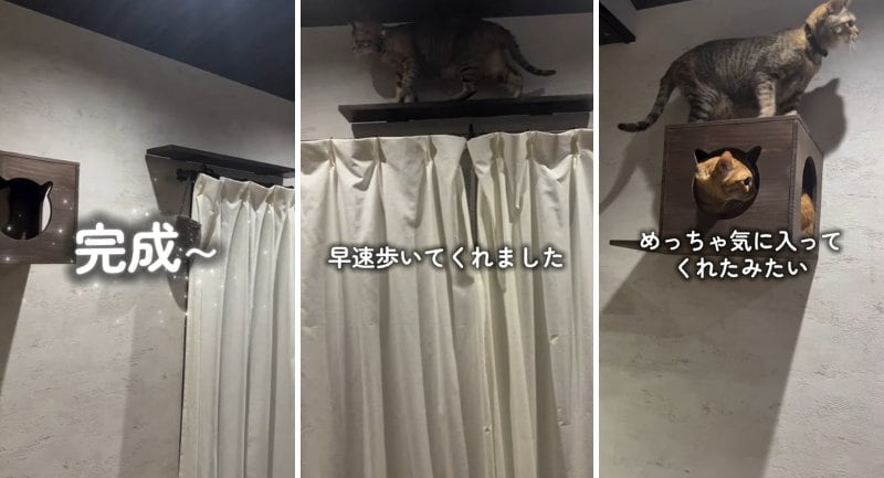 投稿の画像