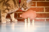 みんな貯蓄はどれくらいしてる？「年齢別貯蓄額」と「お金を貯める3つのコツ」