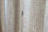 自宅のカーテン裏に「不穏な黒い影」　気になる正体に思わず2度見してしまう