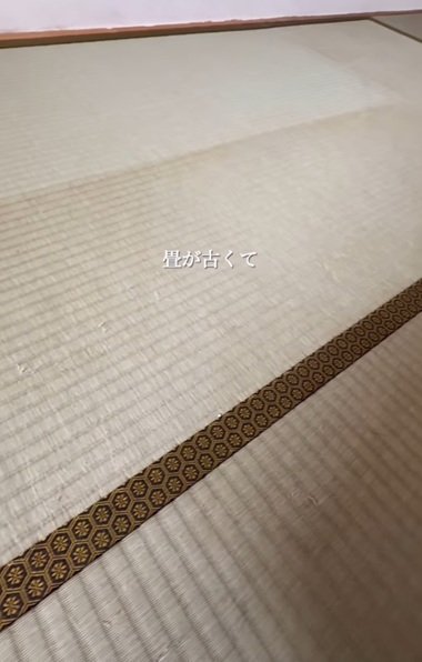 変身前の和室