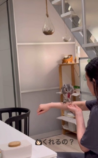 投稿動画のワンシーン