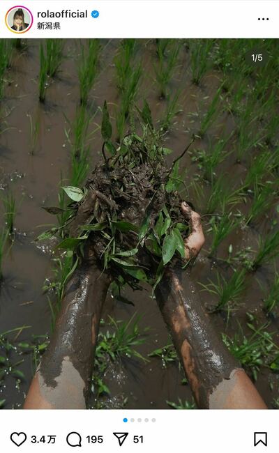 ローラのInstagram投稿