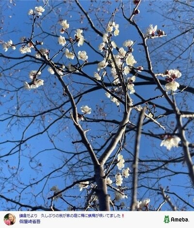 假屋崎省吾の公式ブログ投稿