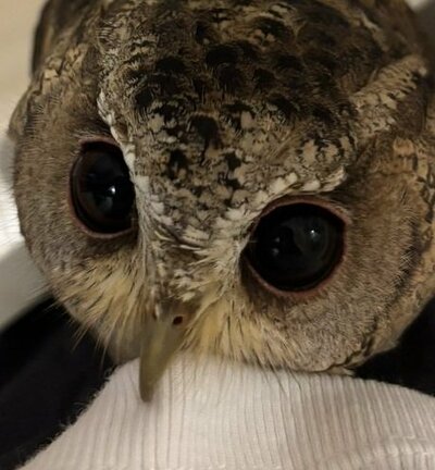 投稿動画のワンシーン