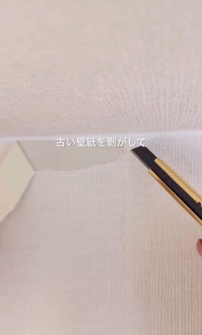 投稿の画像