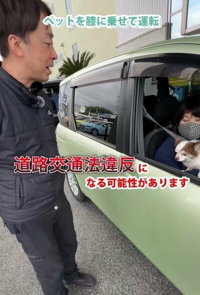 ペットを膝に乗せての運転の危険性