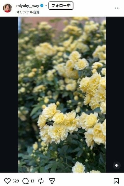 香坂みゆきのInstagram投稿