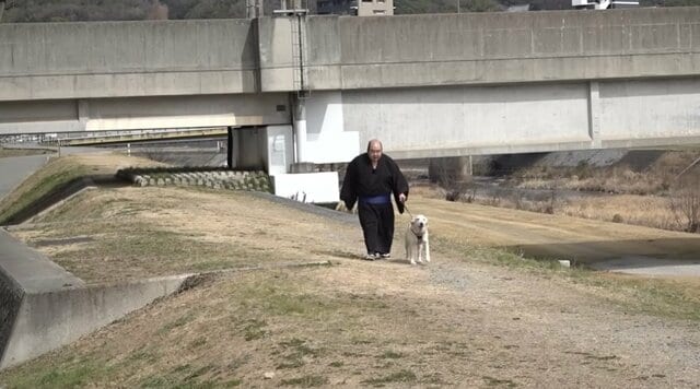 【お相撲さんの休日】「子犬をあやす森麗さん」「尊い」大嶽部屋の森麗（もりうらら）が犬と散歩する休日動画に癒される