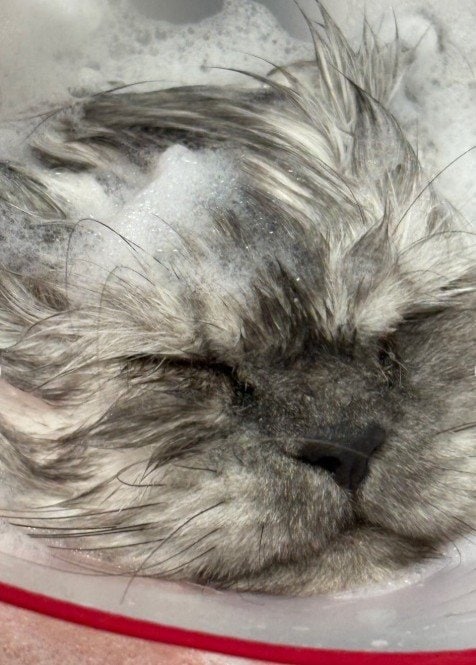 出所：@mimitti0930