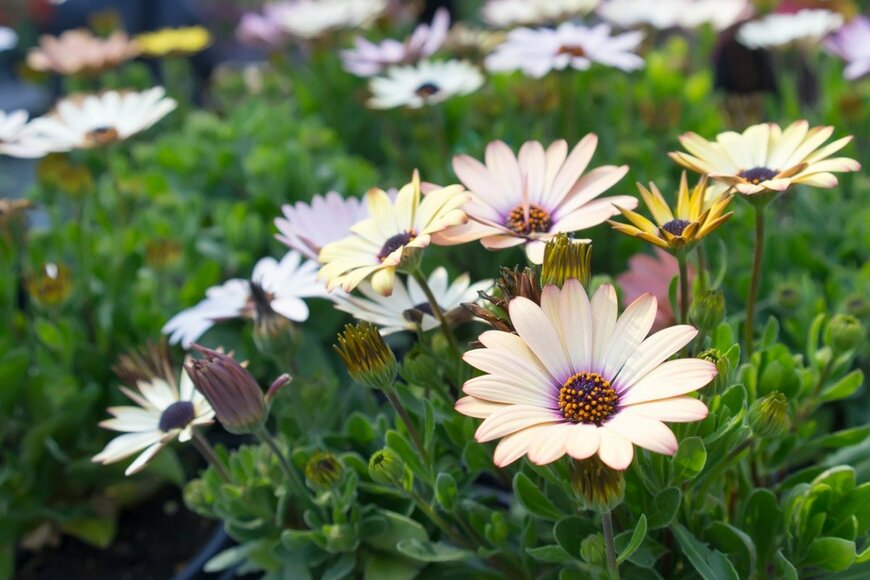 ironsailor/istockphoto.com