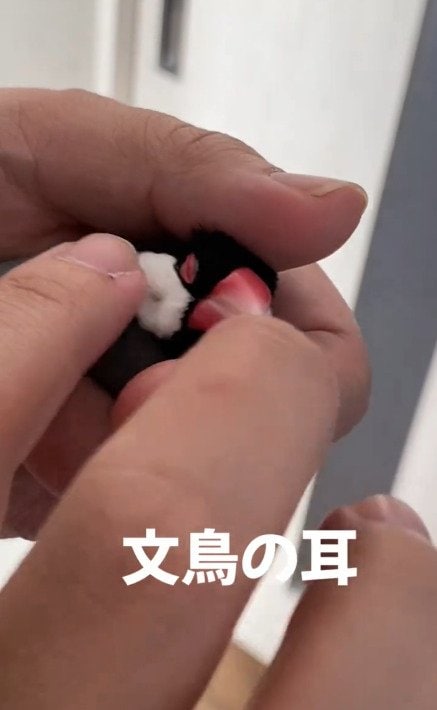 出所：@buntyo_suehiro