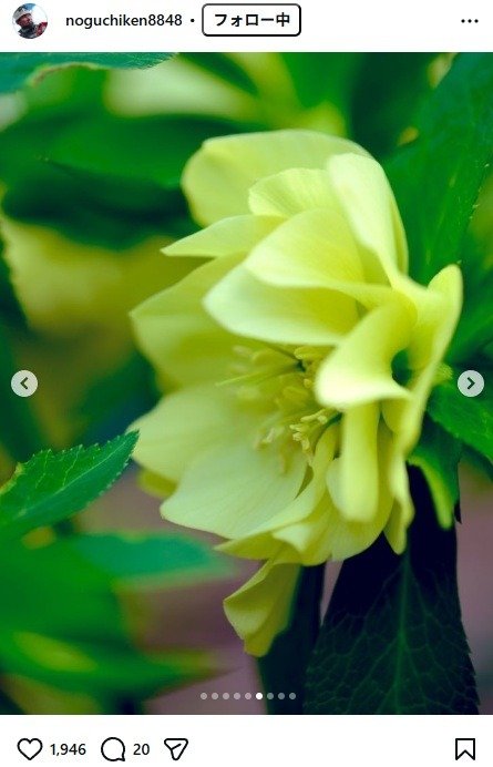 出所：野口健のInstagram（＠noguchiken8848） 参照日：2026年3月19日