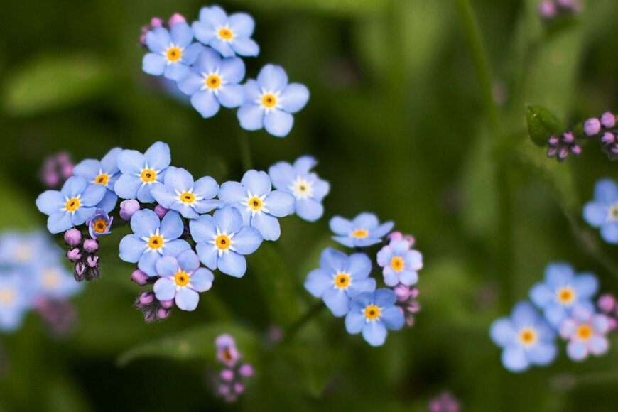Marina Tikhonova/istockphoto.com
