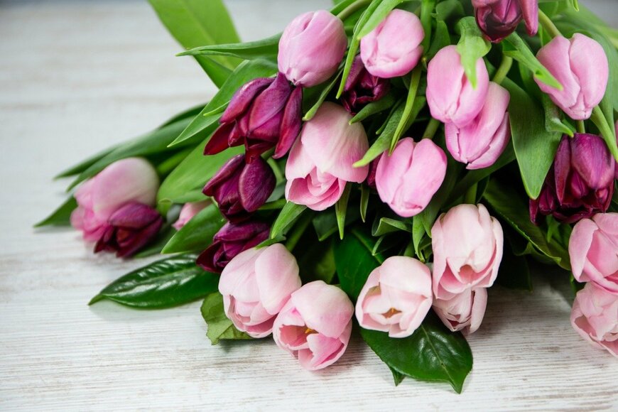 npdesignde/istockphoto.com