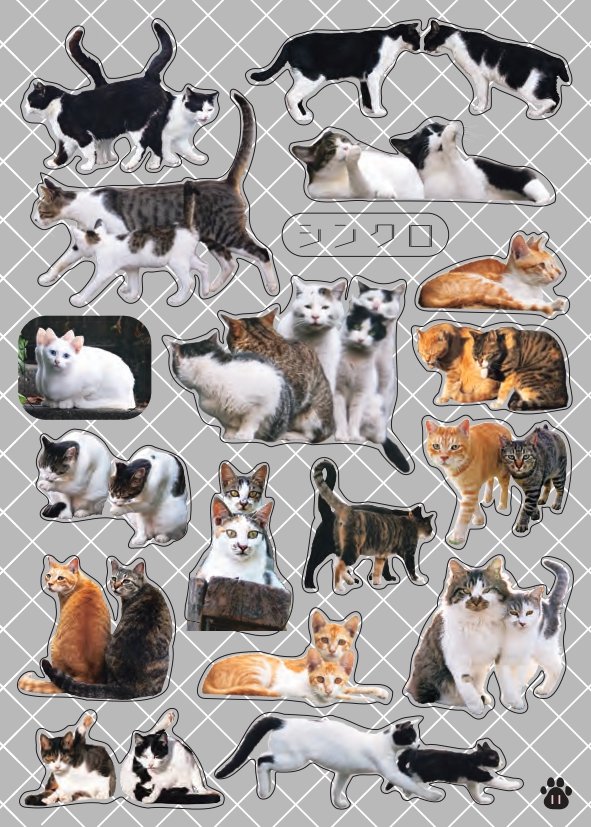 出所：株式会社小学館