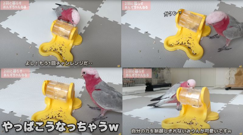 出所：@anz_omomiri