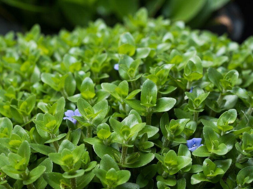 jm1366/istockphoto.com