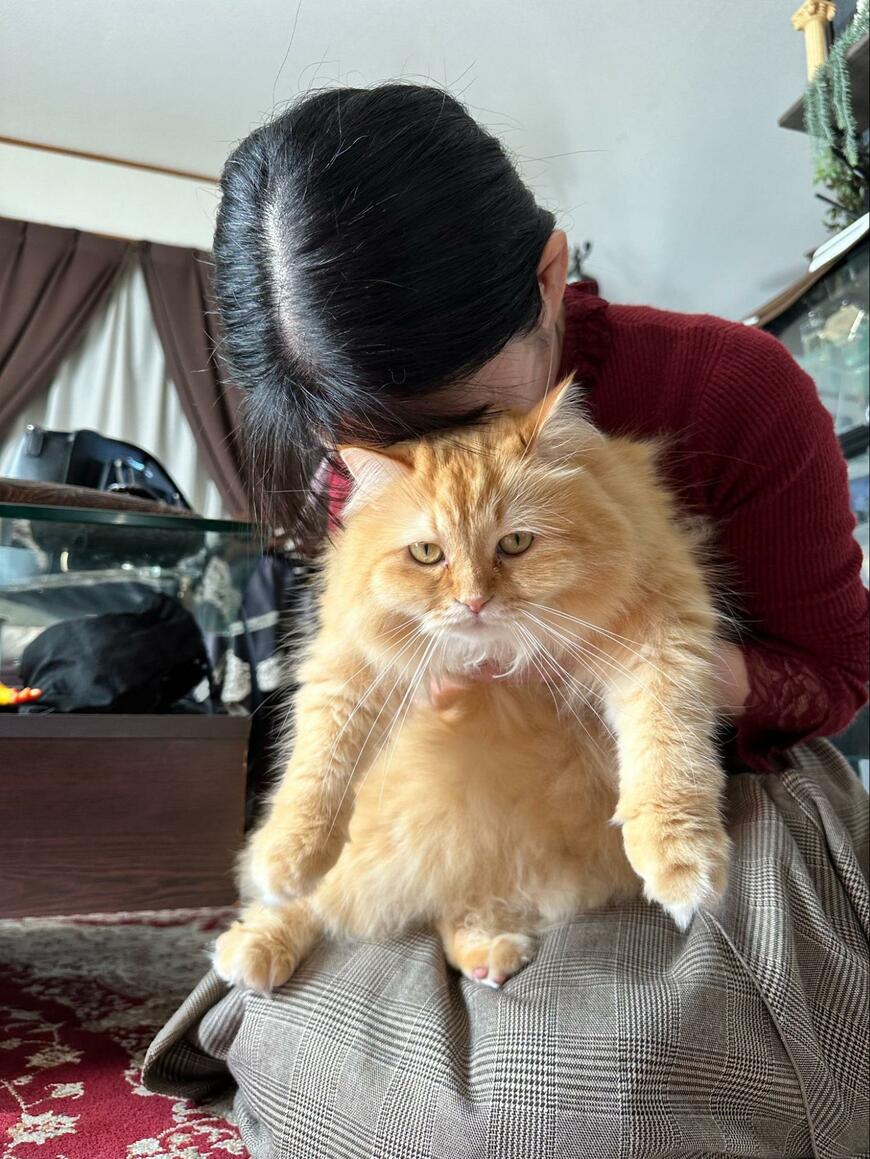 出所：@NEKOLAND13