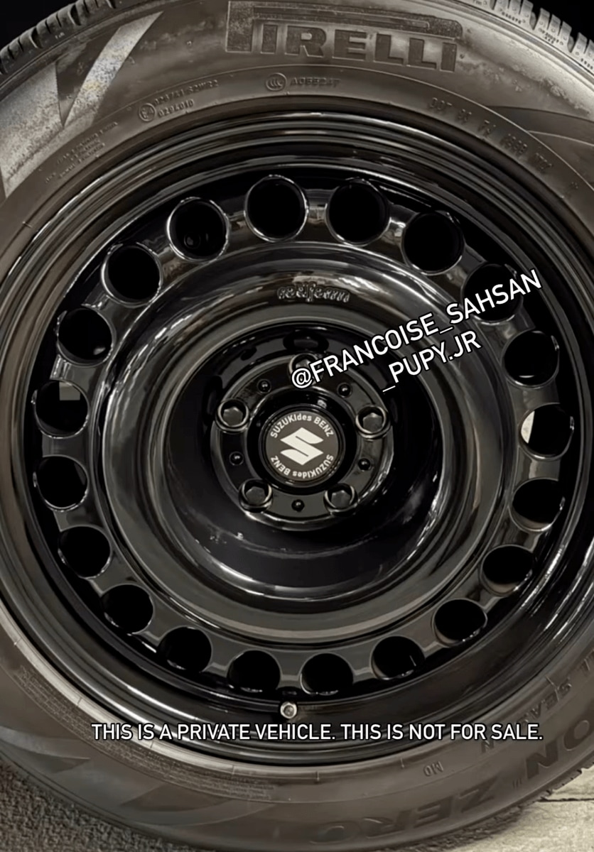 @francoise_sahsan_puppy.jr