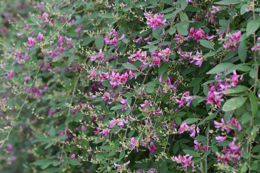 undefined undefined/istockphoto.com