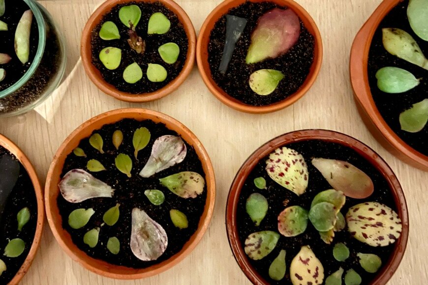 PS3000/istockphoto.com