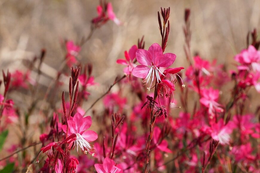 Annetka/istockphoto.com