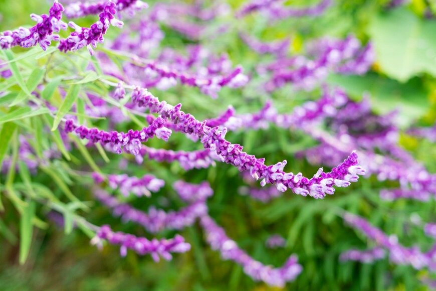 seiryuu/istockphoto.com