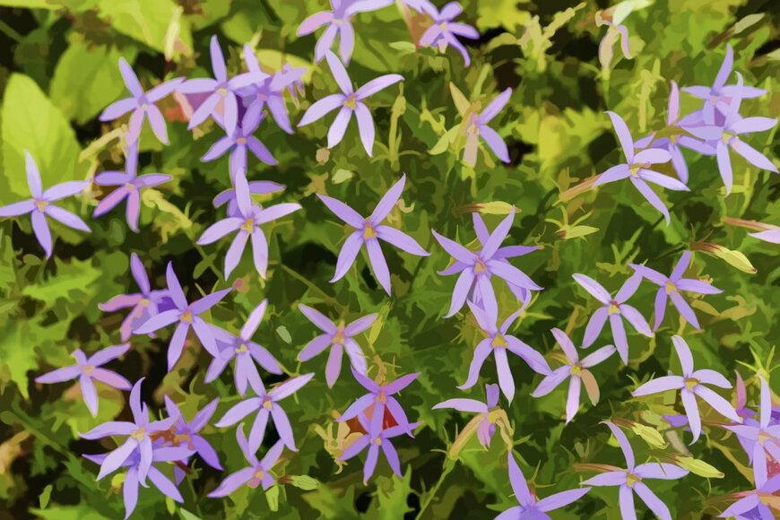 Ken Schulze/shutterstock.com