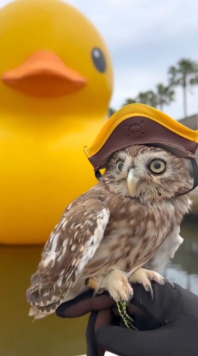 出所：@cr8673.hiro