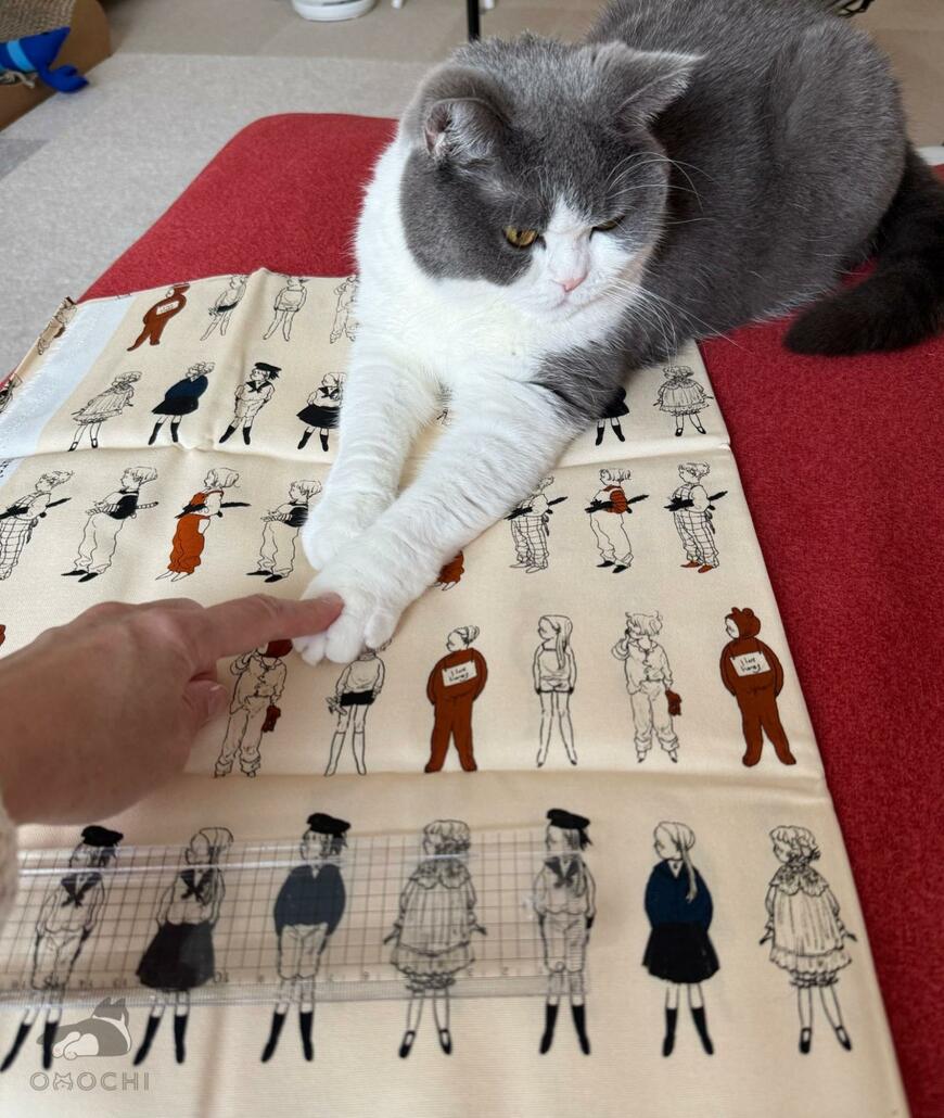 ハンドメイドのバッグを作ろうとしたら　猫のまさかの行動にホッコリ