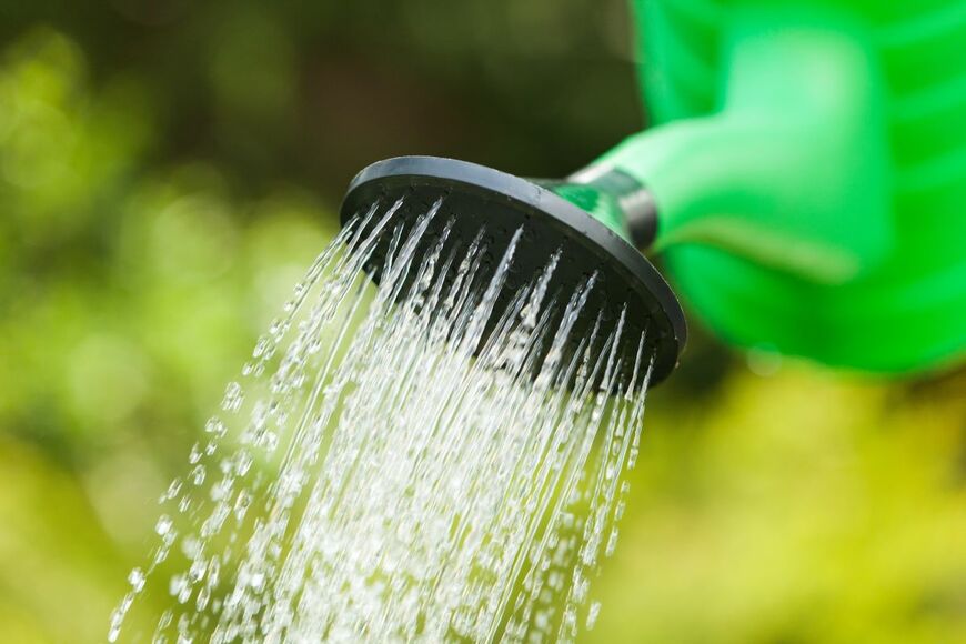 Billion Photos/shutterstock.com