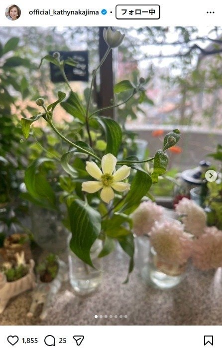 出所：キャシー中島のInstagram（＠official_kathynakajima） 参照日：2026年3月27日
