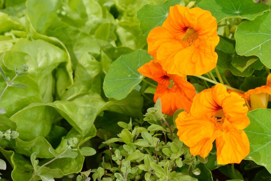 Geo-grafika/Shutterstock.com