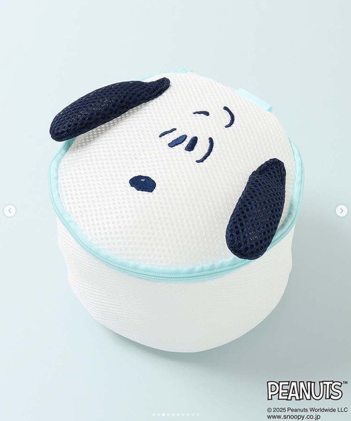 出所：ブルーブルーエ公式Instagram