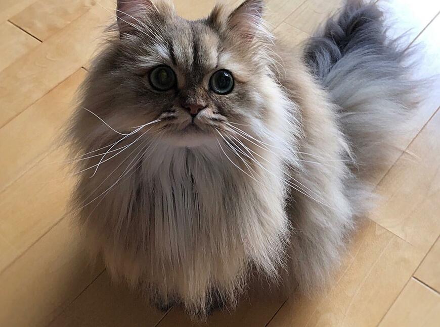 出所：@UphQepCv8J