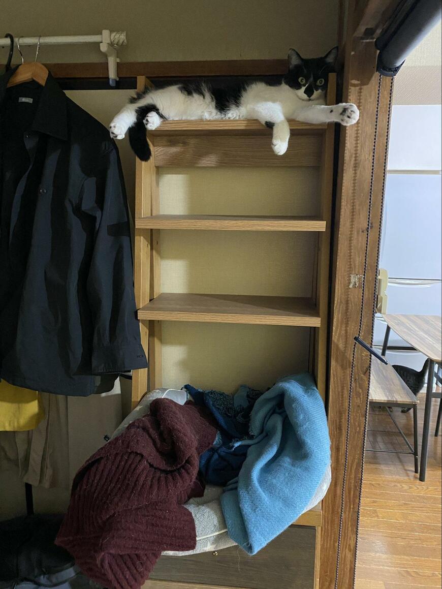 出所：@00shitemita