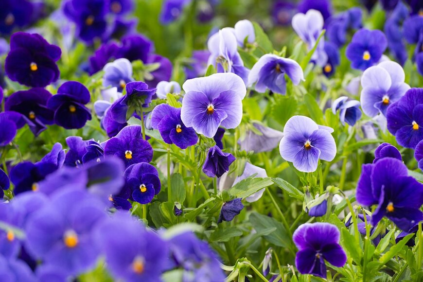 freya-photographer/shutterstock.com