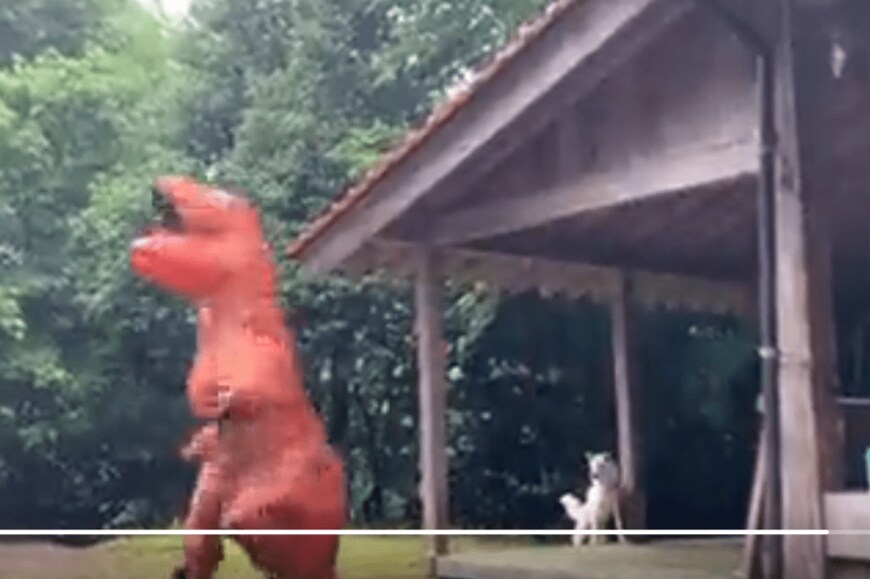 出所：@whiteyyyyyyys