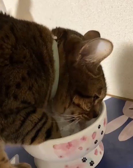 出所：@Beercat_Ana_Dar