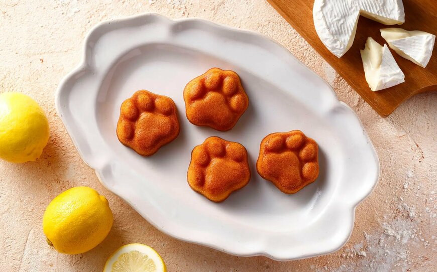 出所：株式会社シュクレイ「東京駅で大人気！チーズと森の果実が奏でるハーモニーがコンセプトのスイーツブランド「ネコシェフ」のロゴマークがリニューアルいたします。」(PR TIMES)