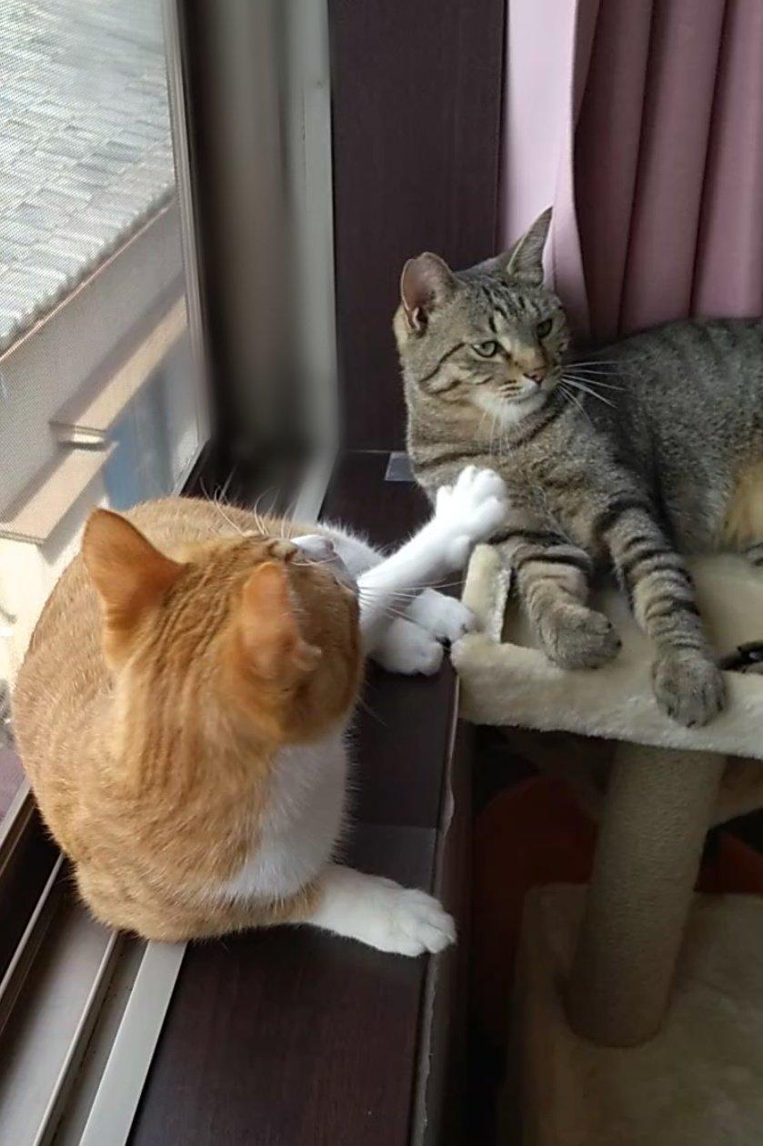 出所：@mero627puri914